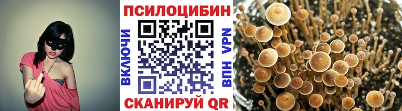 Галлюциногенные грибы прущие грибы  Назарово 