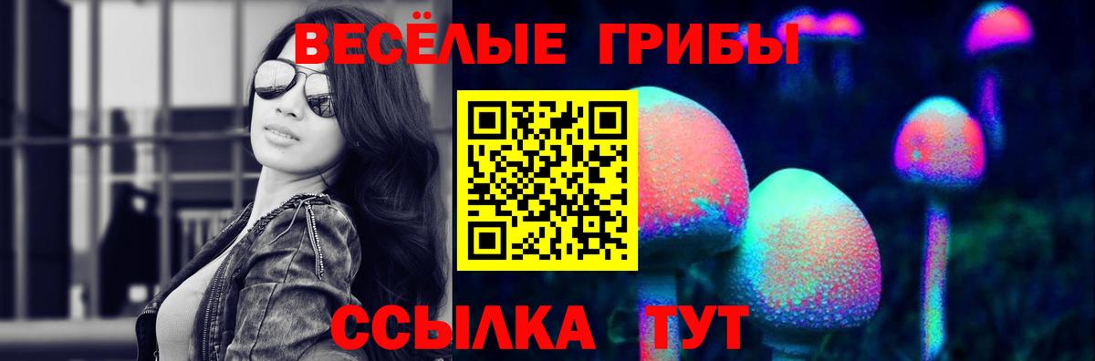 даркнет сайт  Вход с VPN  Назарово  Галлюциногенные грибы мухоморы 